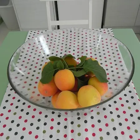 Explorer's Rest Appartement Argassi