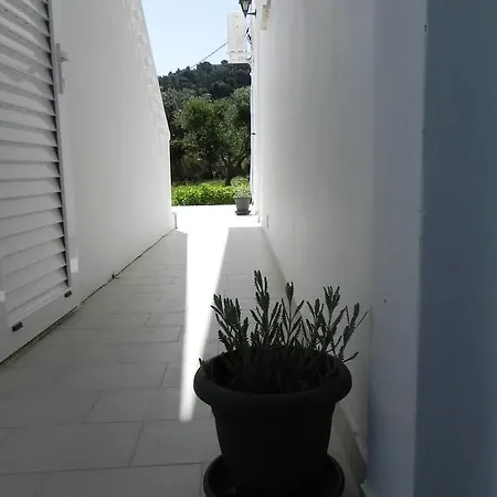 Appartamento Explorer's Rest *