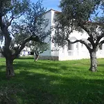 Explorer's Rest Argassi