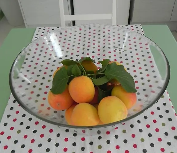 Explorer's Rest Апартаменты Аргаси