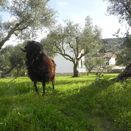 探险家歇息公寓 * 阿凯松