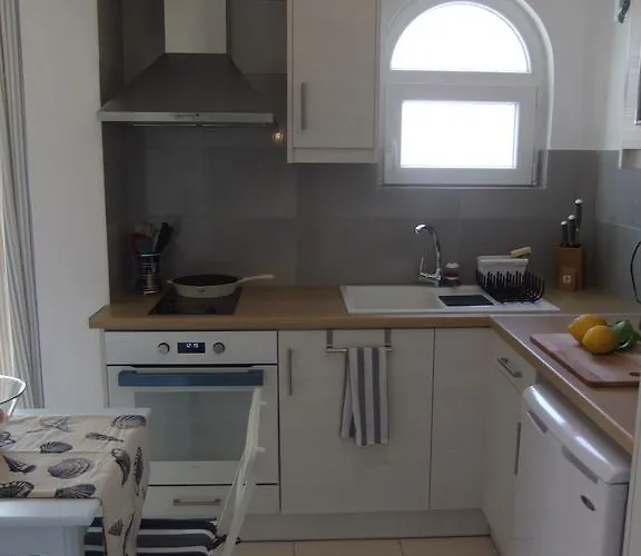 Explorer's Rest Argassi