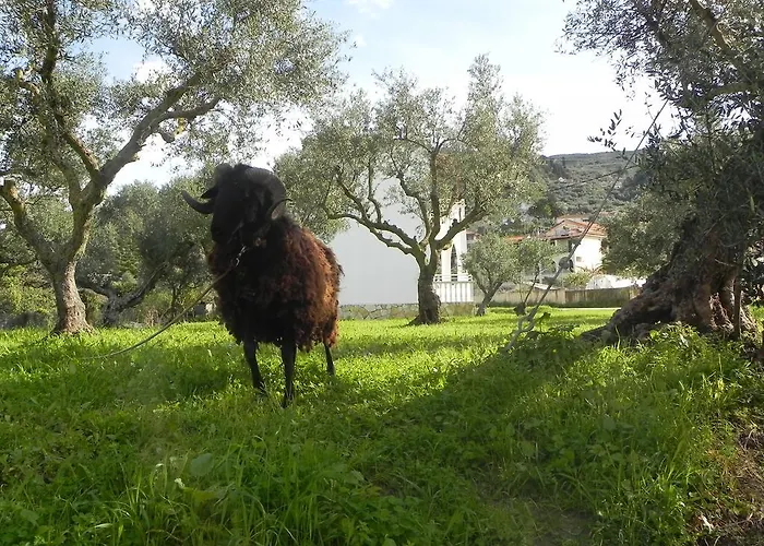 Explorer's Rest * Argassi